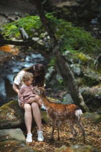 Nara daim japon