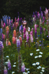 lupins meribel