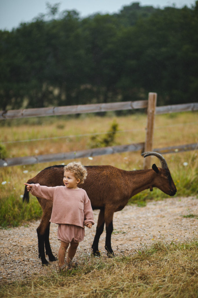 Ferme du petit poucet tarn