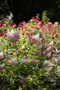 Jardin des martels tarn
