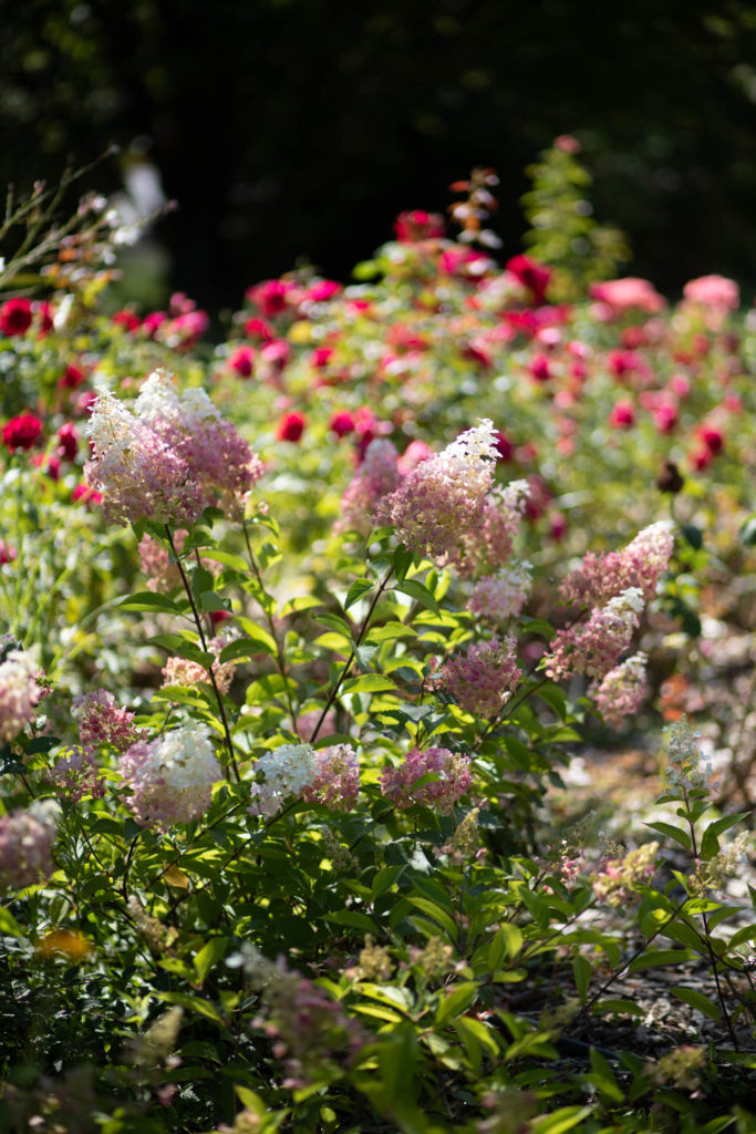 Jardin des martels tarn