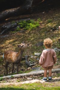 voyager avec un bébé japon