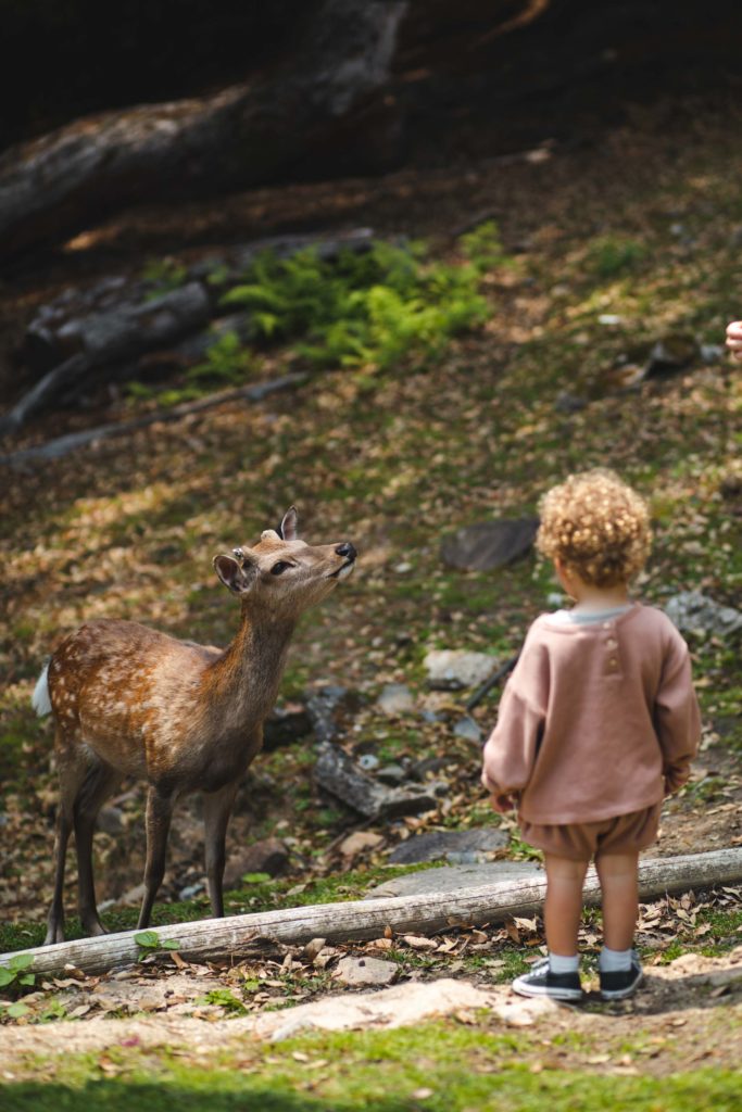 voyager avec un bébé japon