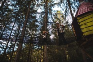 bois des lutins la bresse vosges