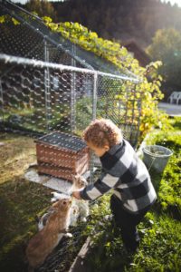 petite ferme les vosges