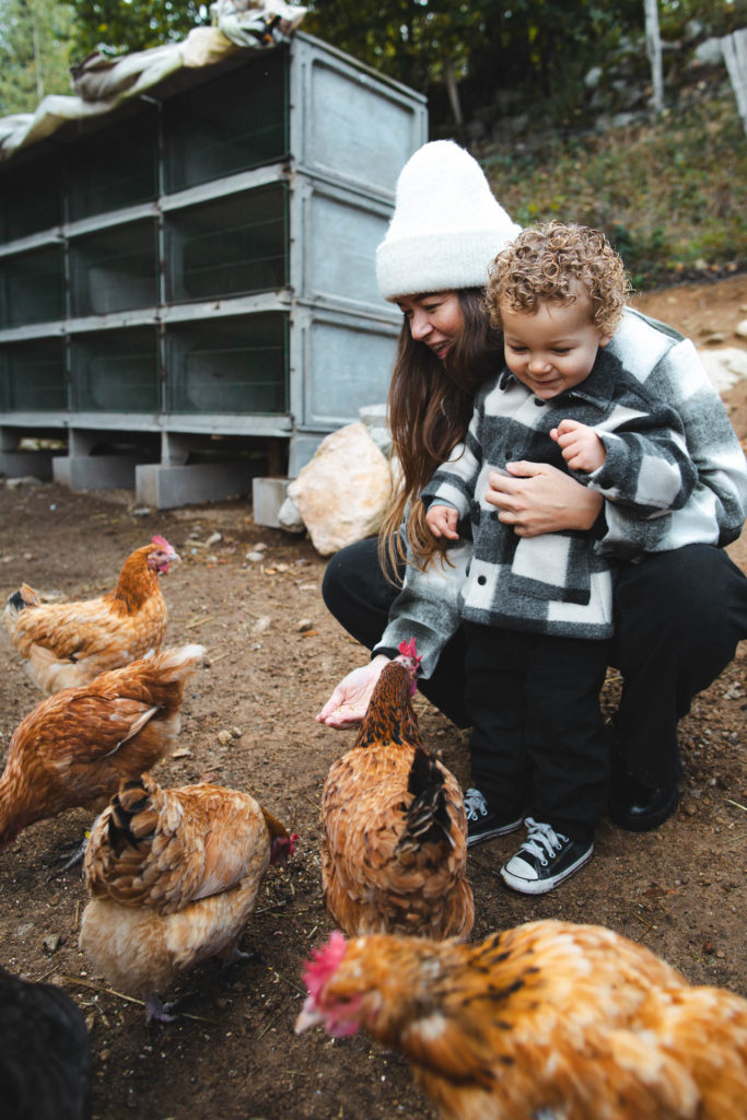 petite ferme les vosges
