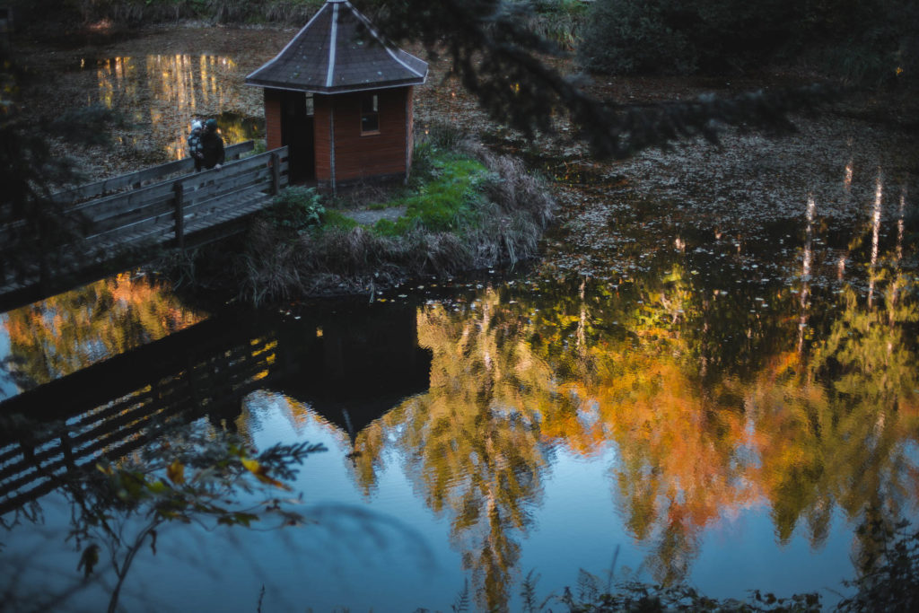 le Drumont les vosges