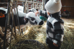 petite ferme les vosges