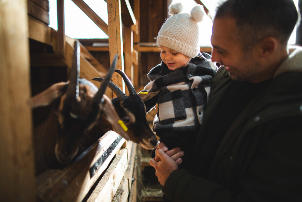 petite ferme les vosges