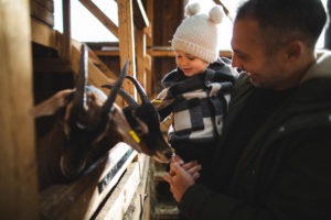 petite ferme les vosges