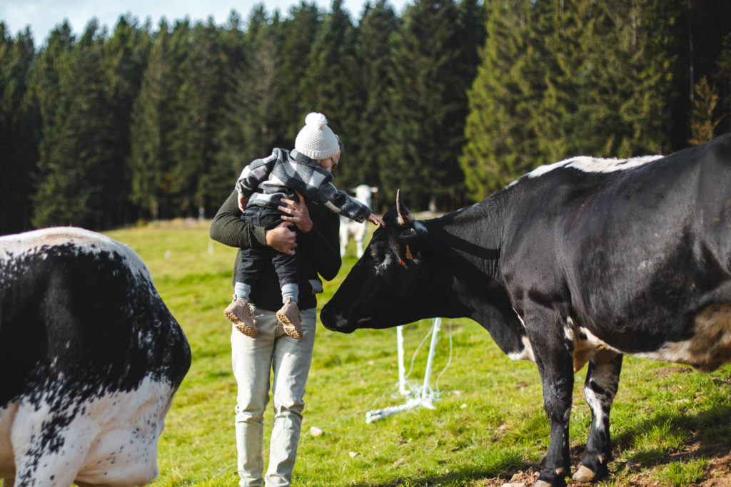 petite ferme les vosges