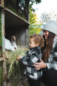 petite ferme les vosges