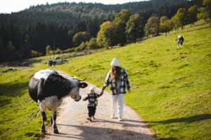 petite ferme les vosges