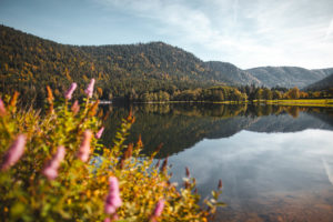 lacs des vosges