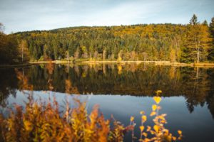lacs des vosges