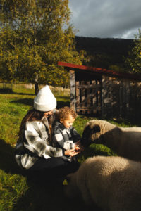 petite ferme les vosges