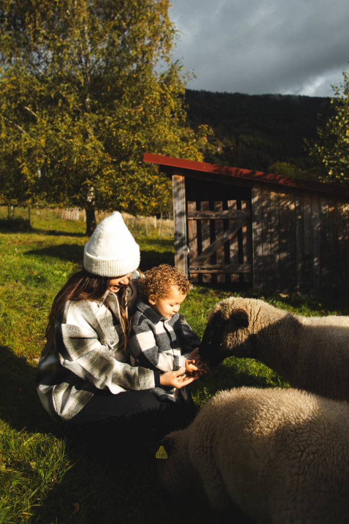 petite ferme les vosges