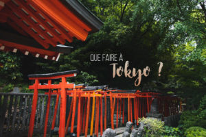 que faire a tokyo
