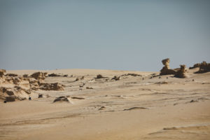 Al Wathba Fossil Dunes Abu Dhabi