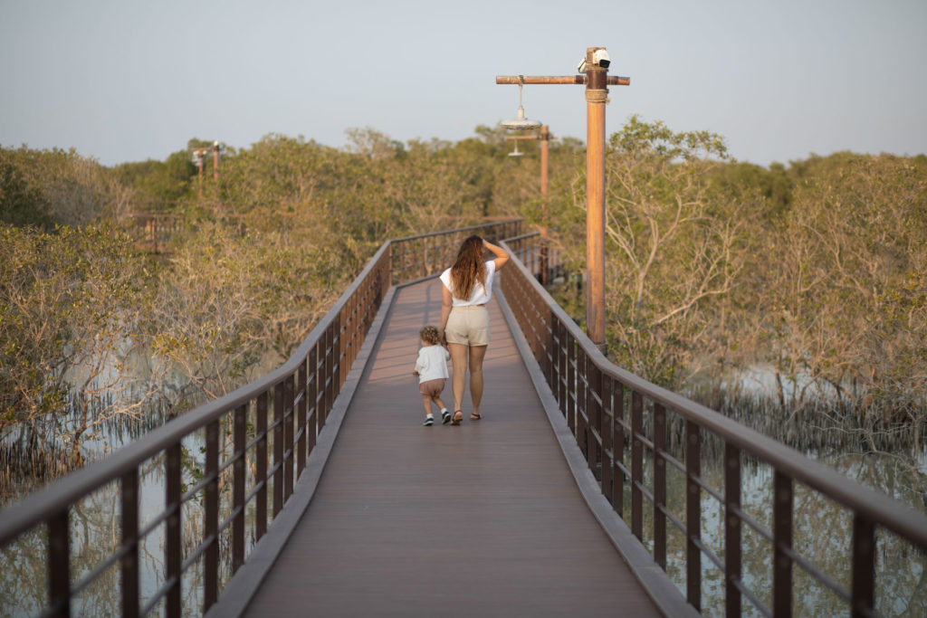 Jubail Mangrove Park Abu Dhabi