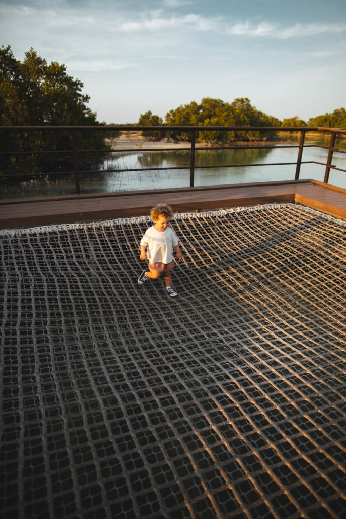 Jubail Mangrove Park Abu Dhabi