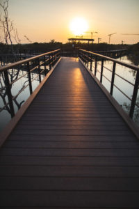 Jubail Mangrove Park Abu Dhabi