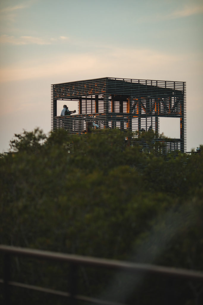 Jubail Mangrove Park Abu Dhabi