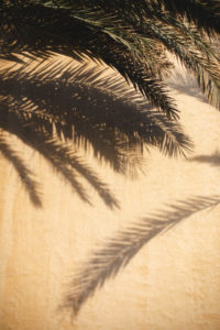 anantara liwa abu dhabi