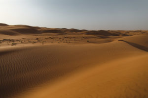 Wahiba Sands Oman