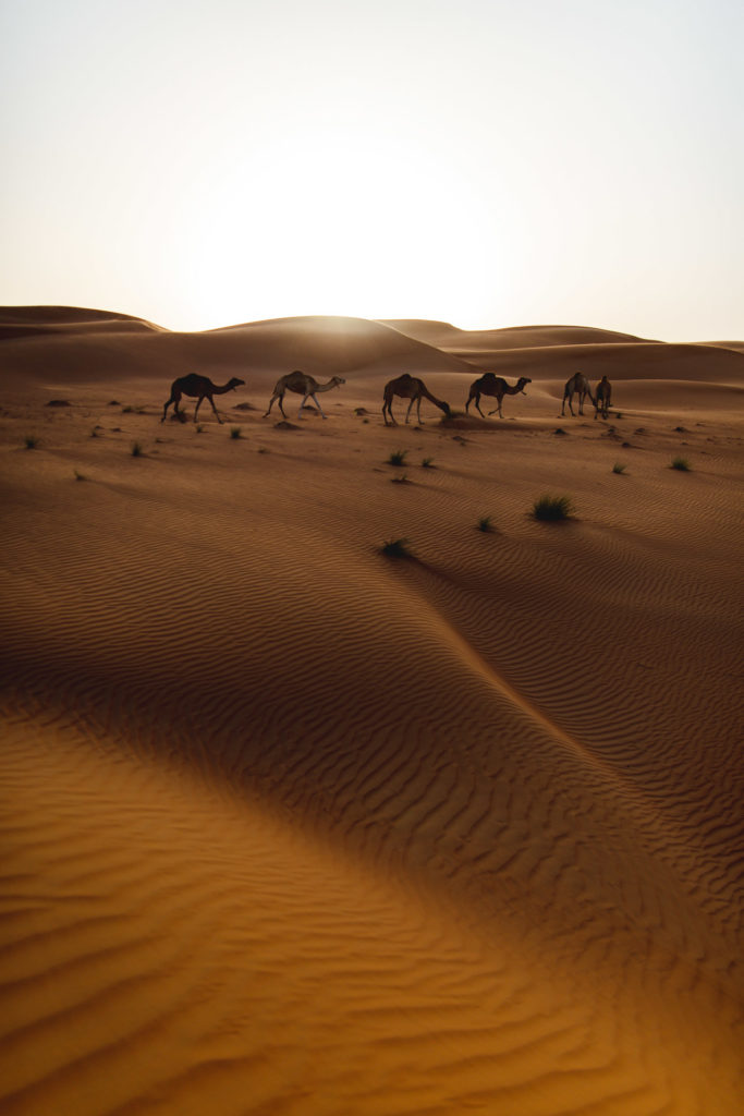 Wahiba Sands Oman