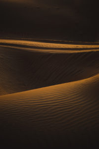 Wahiba Sands Oman
