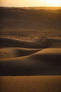 Wahiba Sands Oman