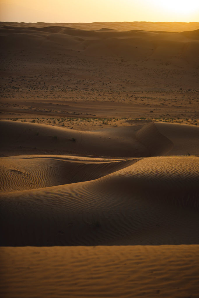 Wahiba Sands Oman