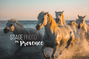 stage photo camargue