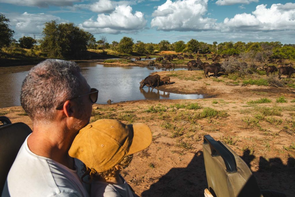 safari itineraire afrique du sud