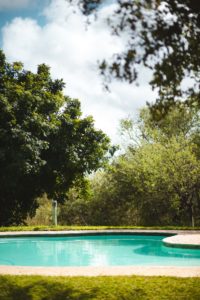Molhabetsi Lodge afrique du sud