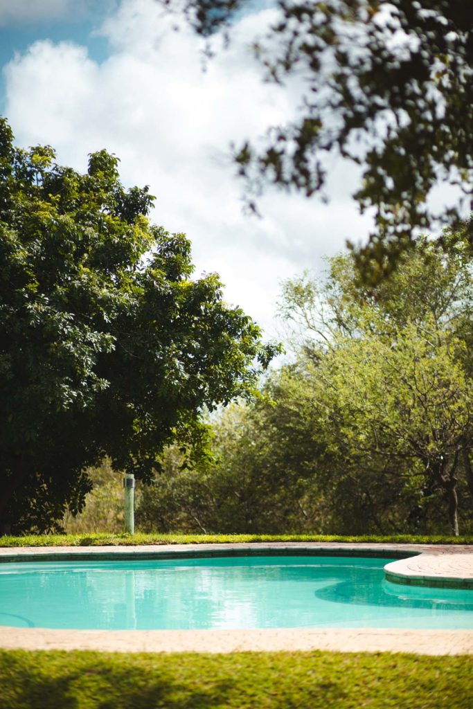 Molhabetsi Lodge afrique du sud