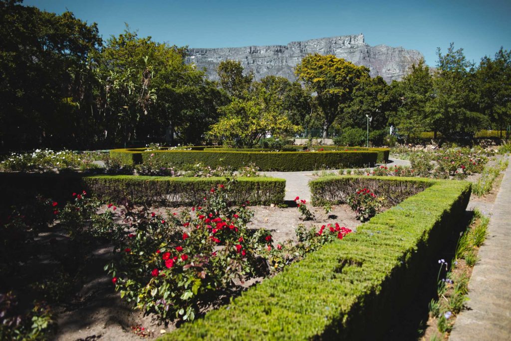 Cape Town itinéraire Afrique du sud