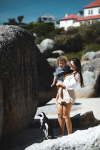 boulders beach itineraire afrique du sud