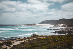 Péninsule du cap itineraire afrique du sud