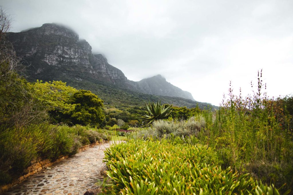 jardin botanique de Kirstenbosch Cape Town