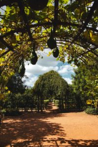 Babylonstoren itineraire afrique du sud