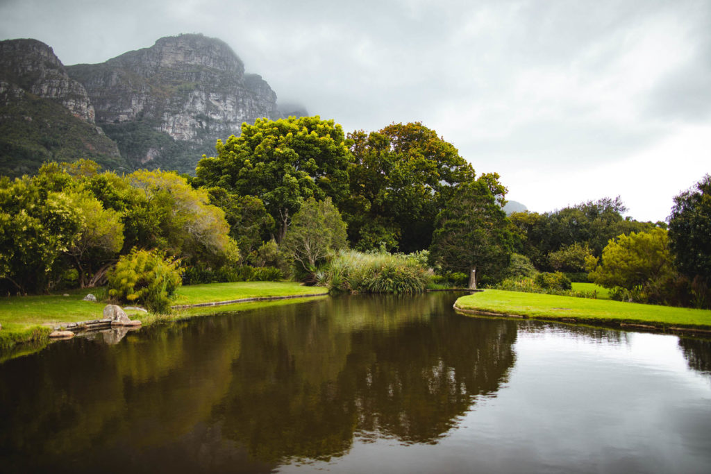jardin botanique de Kirstenbosch Cape Town