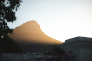 coucher de soleil lions head