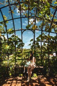 Babylonstoren itineraire afrique du sud