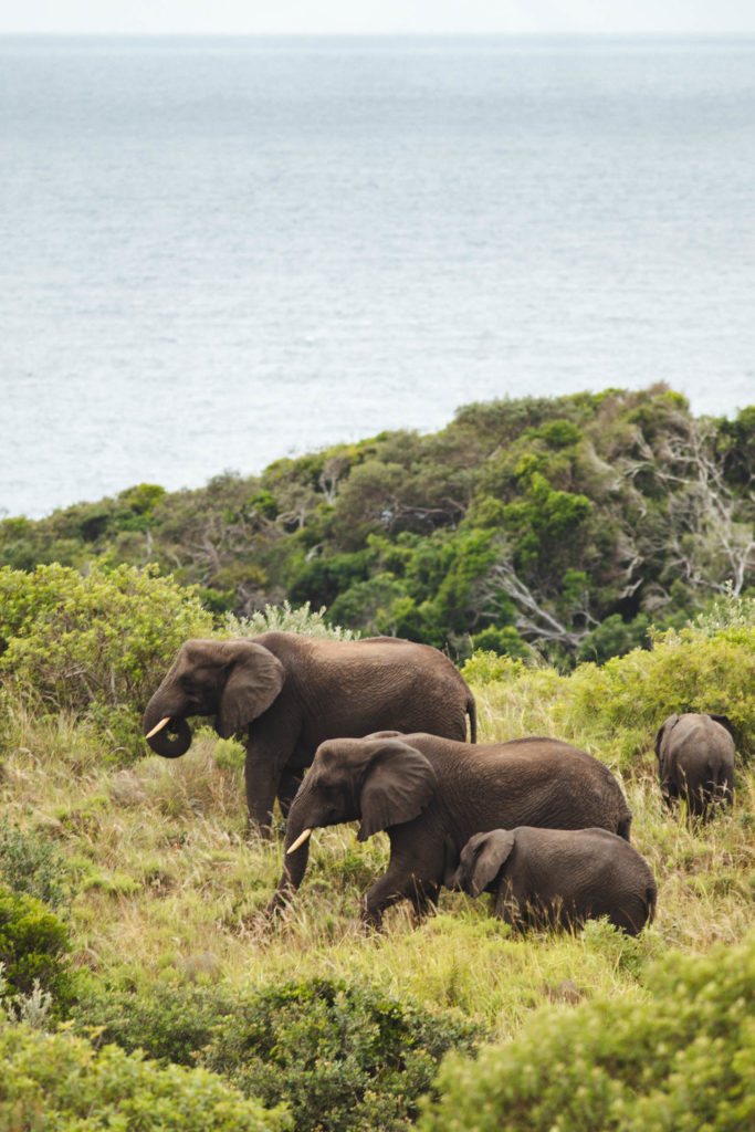 parc isimangaliso itineraire afrique du sud