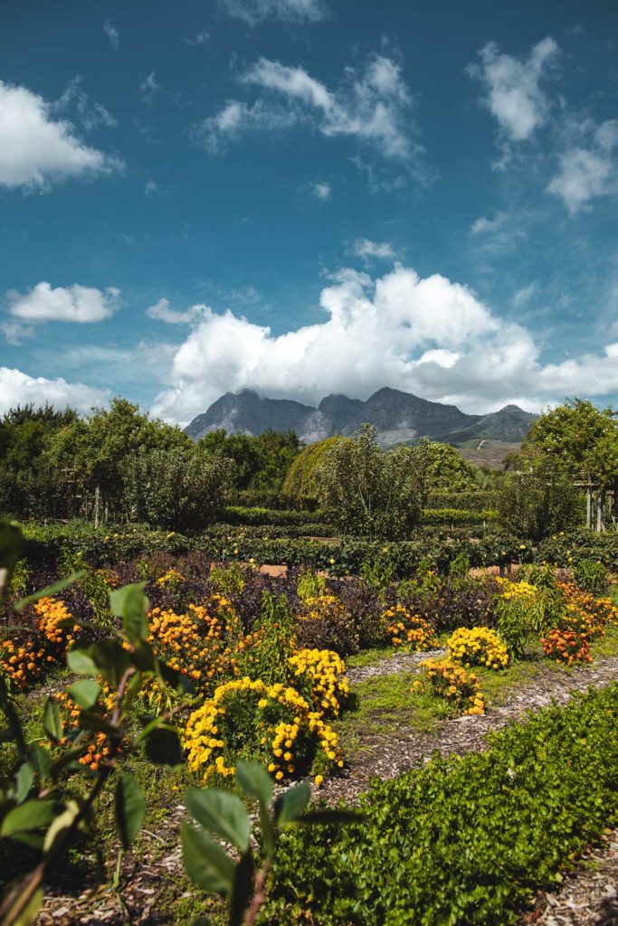Babylonstoren itineraire afrique du sud