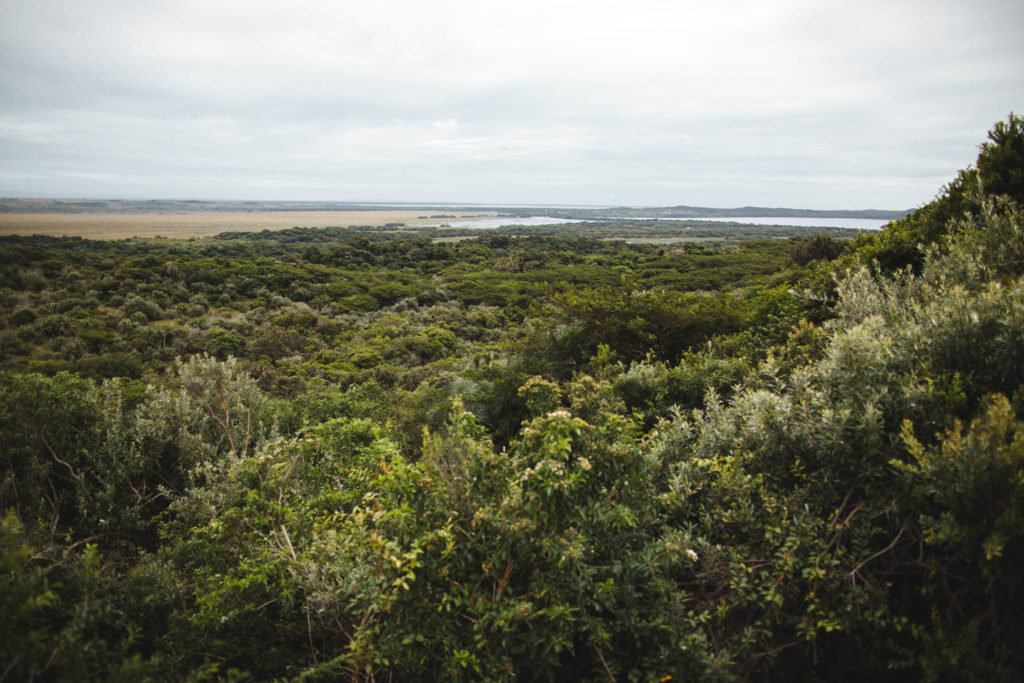 parc isimangaliso itineraire afrique du sud