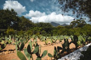 Babylonstoren itineraire afrique du sud