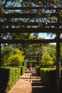Babylonstoren itineraire afrique du sud